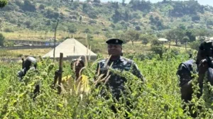 U toku potraga/X.com//