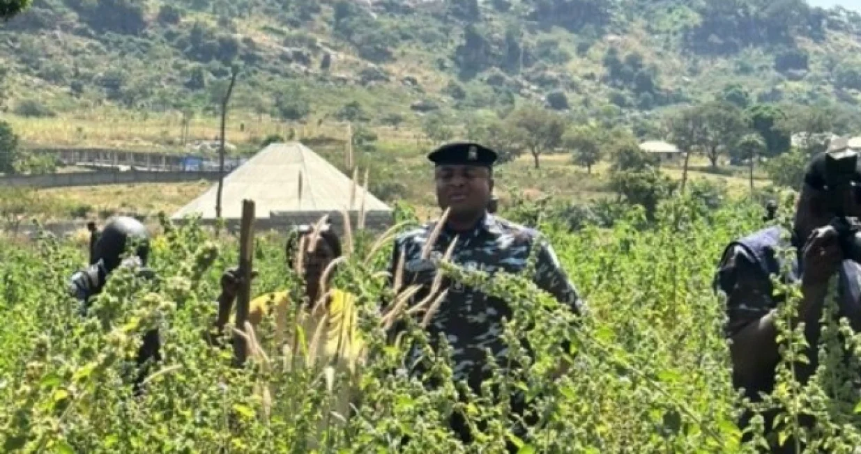 U toku potraga/X.com//