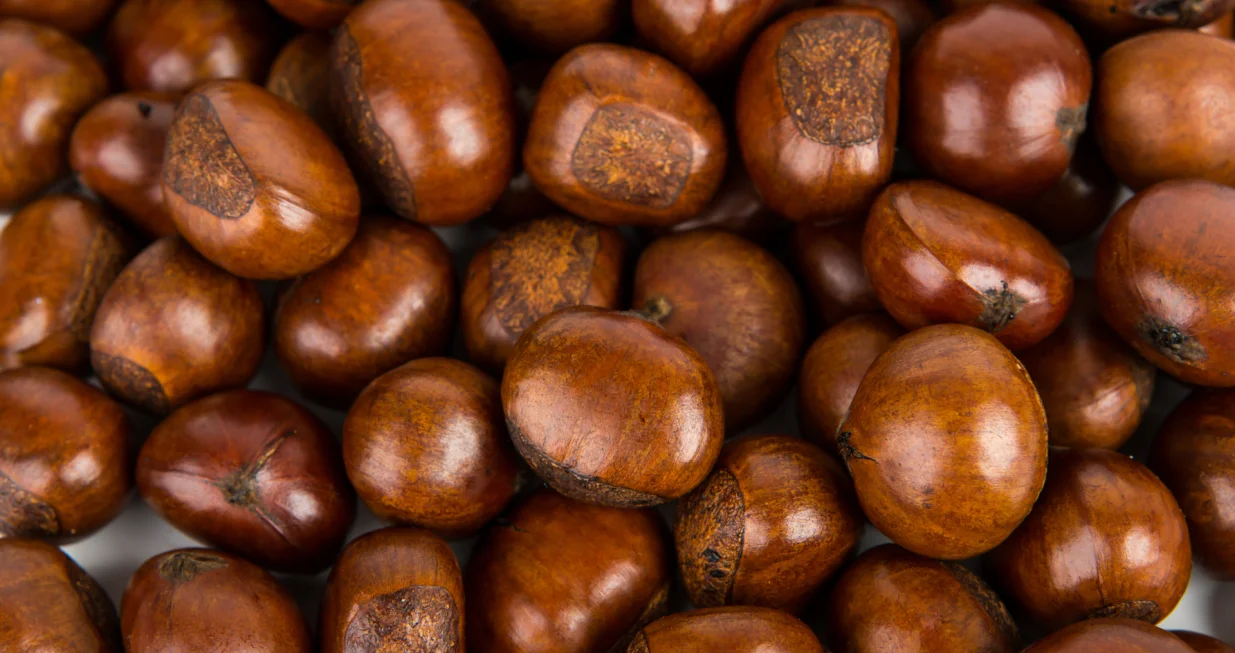 Stariji ljudi vjeruju da pomaže/Free Pik