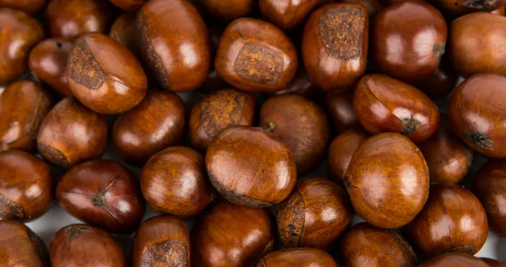 Stariji ljudi vjeruju da pomaže/Free Pik