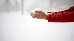 Obratite pažnju/Free Pik