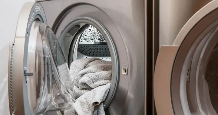 su&scaron;ilica ilustracija/