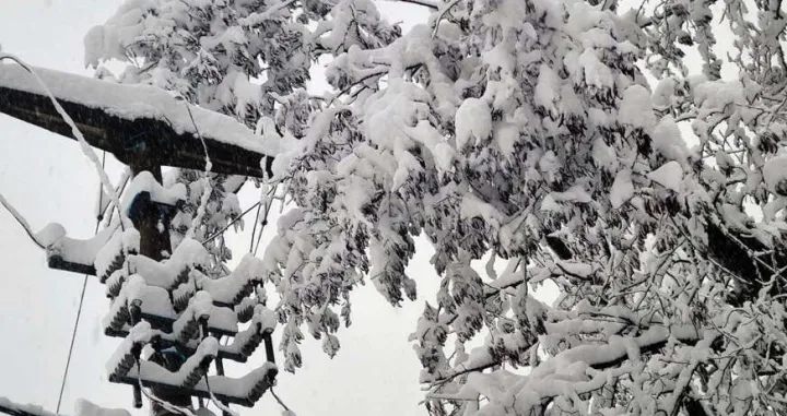 snijeg struja srna/Александар Лукић