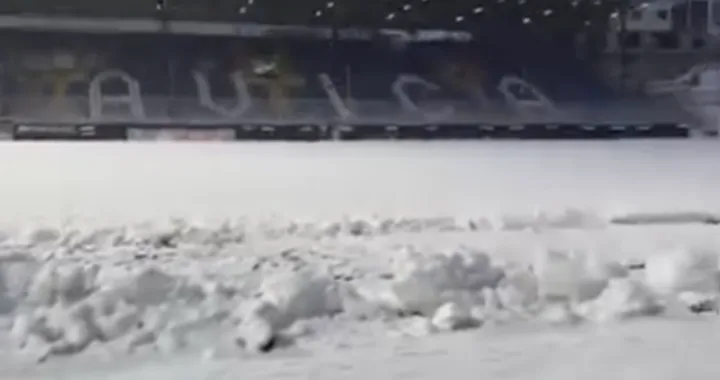 Stadion Grbavica (FOTO: Screenshot)/Foto: 