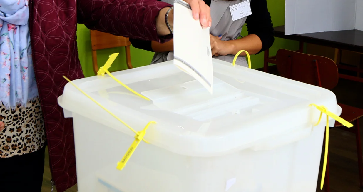 glasanje izbori/Ilustracija/Muhamed Tunovic