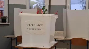 prijevremeni izbori, izbori glasanje ilustracija/Srna