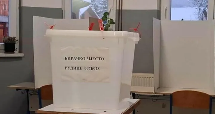 prijevremeni izbori, izbori glasanje ilustracija/Srna