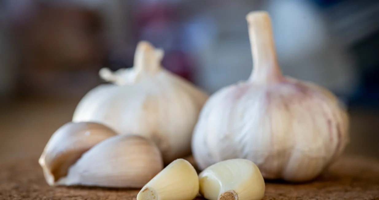 Više se nikad neće pokvariti/Free Pik