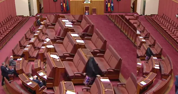 Australska desna senatorica nosila burku u parlamentu, muslimanke bijesne/Screenshot