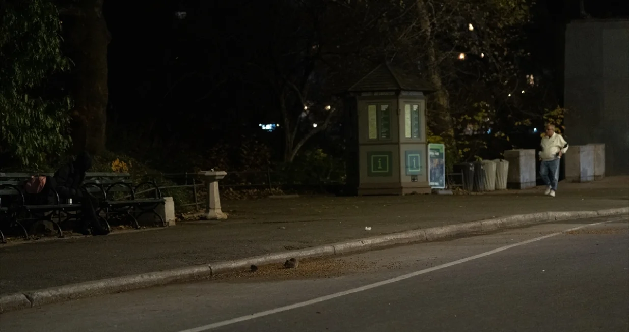 Pacovi na ulicama/Anadolija/