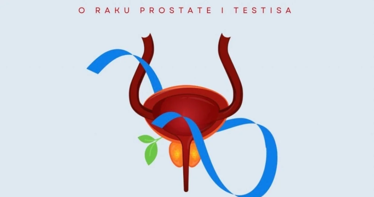 U EVROPSKOJ KUĆI KULTURE I NACIONALNIH MANJINA - panel diskusija "Movembar – muško zdravlje na prvom mjestu"//