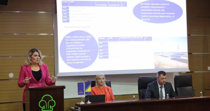 Vtk godišnji izvještaj/Senad Gubelić