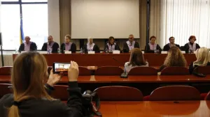 ustavni sud fbih 1 fena/