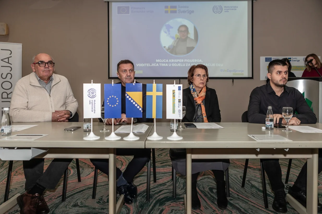 Završna konferencija projekta LINKza Mlade/Nedim Omeragic