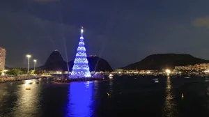 Džinovska jelka/Anadolija/