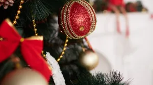 Trik koji mijenja sve/Free Pik