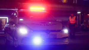 Policija MUP KS ilustracije/Damir Deljo