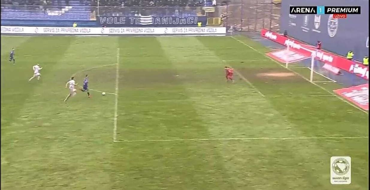 Aleksandar Boljević (FOTO: Screenshot/Arenasport)/Foto: 