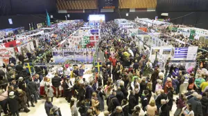 Skenderija Diplomatski zimski bazar/Senad Gubelić