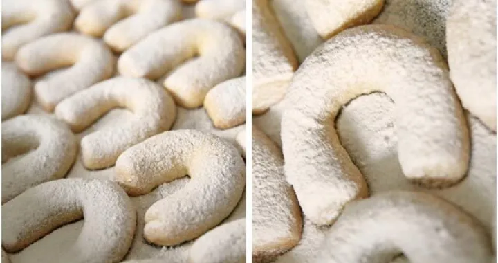 Svi ih obožavaju/Domacica.com