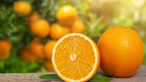 Narandže, citrusi/Freepik