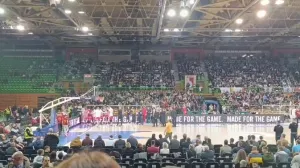 Bosna - Crvena zvezda/Foto: 