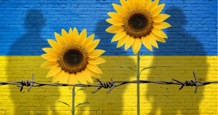 Kolumna Pavla Mijovića: Mir bez granica/Ilustracija/Benjamin Krnić