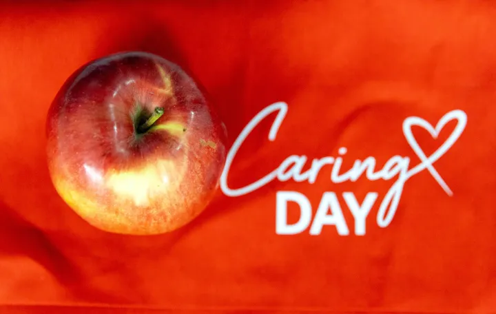 Dan brižnosti/Marko Risović/