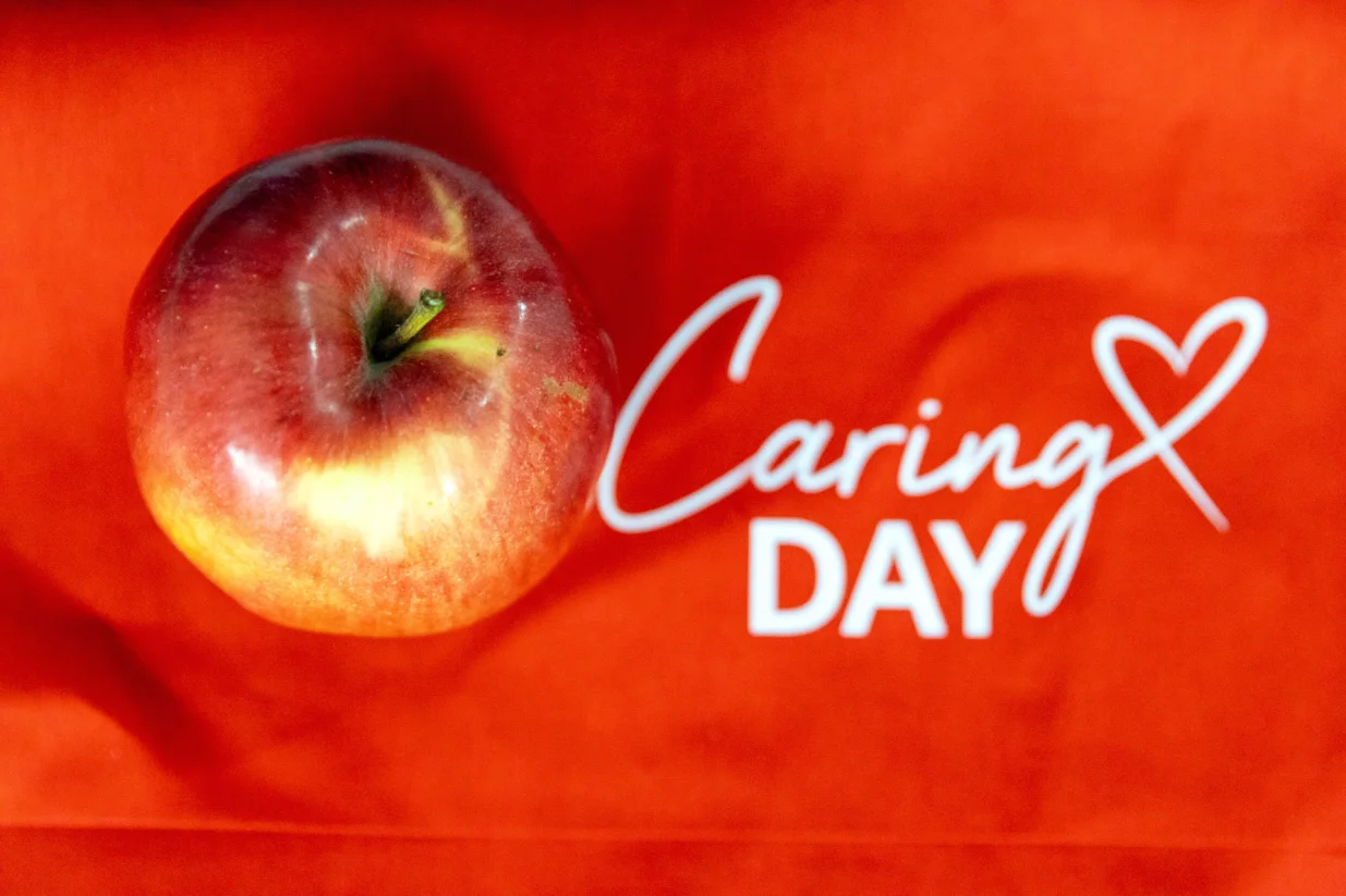 Dan brižnosti/Marko Risović/