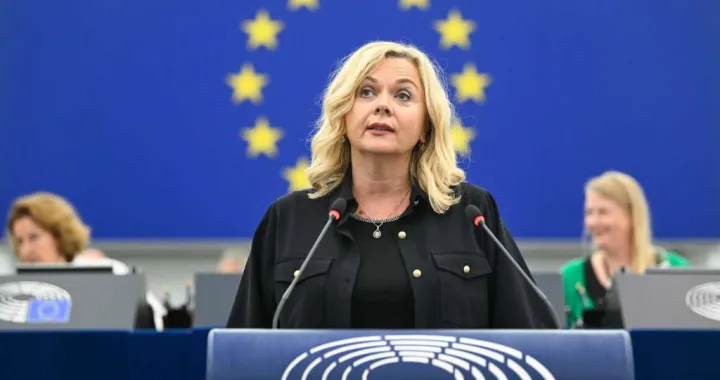 Željana Zovko, Evropski parlament/