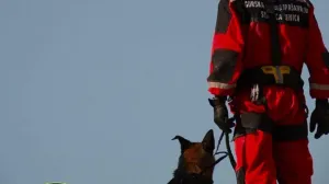 gss zenica raspisan konkurs za prijem novih članova1/Gss Stanica Zenica