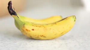 Riješena dilema/Free Pik