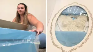 TikTok/ Screenshot/Tt