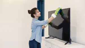 Brzo čišćenje bez muke/Free Pik