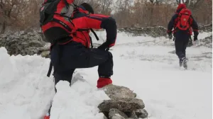 gss snijeg ilustracija/Gss