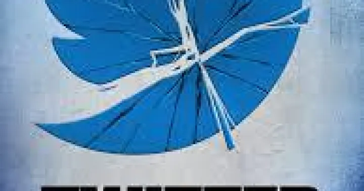 breaking bird:the rise and fall of twitter/