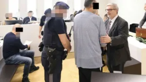 Priznao krivicu/Printscreen/heute.at//