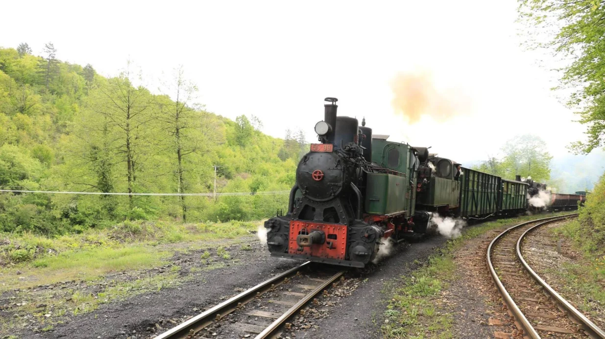 Lokomotiva oznake 55-99 u okolini Banovića/