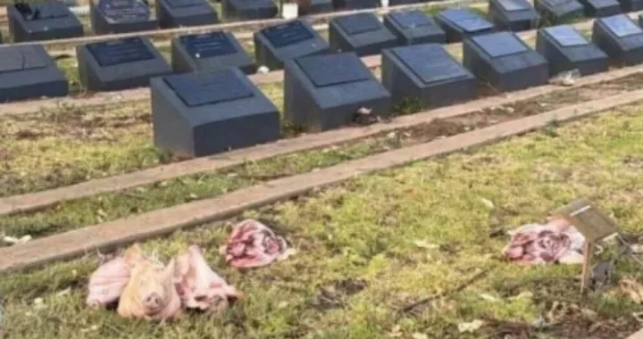 Svinjske glave, muslimansko groblje, Sydney/Prtsc