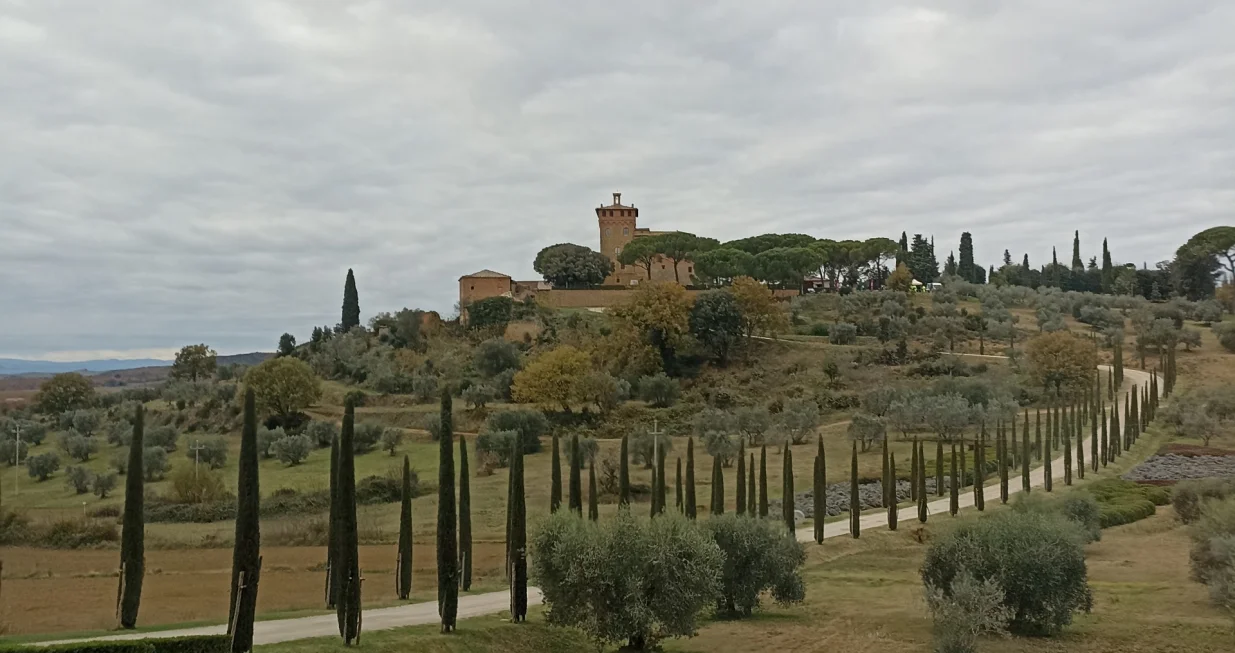 Toskana, Montalcino/