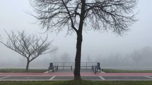 Magla u Sarajevu/Adnan Bajrović