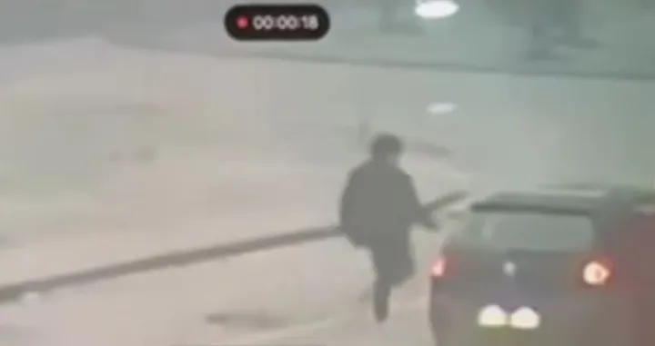 Trenutak kada lopov ulazi u automobil/Screenshot/