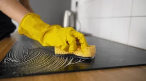 Predmet u domu sa najviše klica/Free Pik