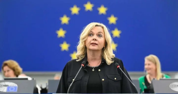 Željana Zovko, Evropski parlament/