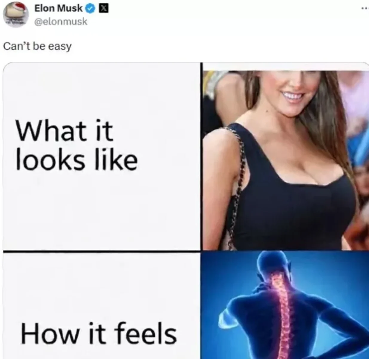 Elon Musk o Sydney Sweeney/Screenshot