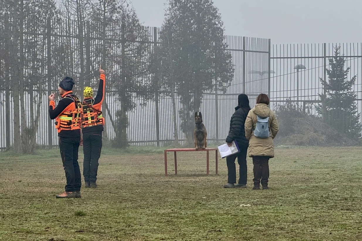 potražni psi licenca/