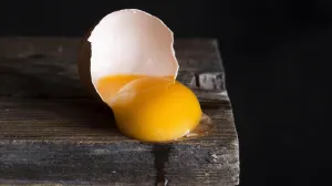 Stručnjaci sve razjasnili/Free Pik