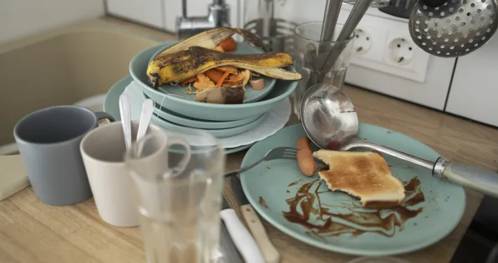 Prljav stan nije kraj svijeta/Free Pik