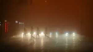 Magla u Gradišci/Crna Hronika