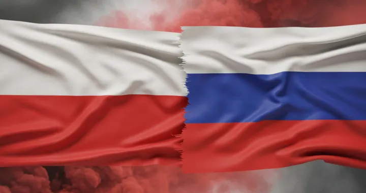 vizual za kolumnu đure kozara, Poljski strahovi, poljska i rusija/Benjamin Krnić